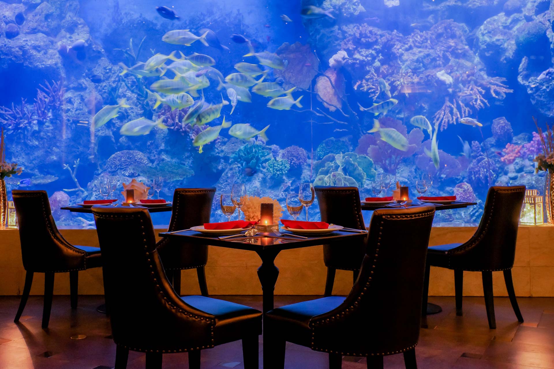 Copper Aquarium Restaurant - Amaranta Hotel 